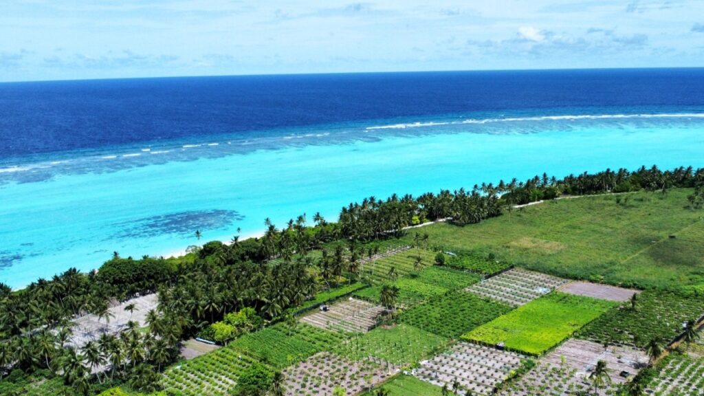 Fields and the coastline of Thoddoo island Maldives