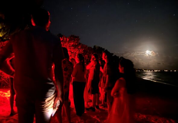 Guests watch green turtles hatch at Niva Kuramathi Maldives